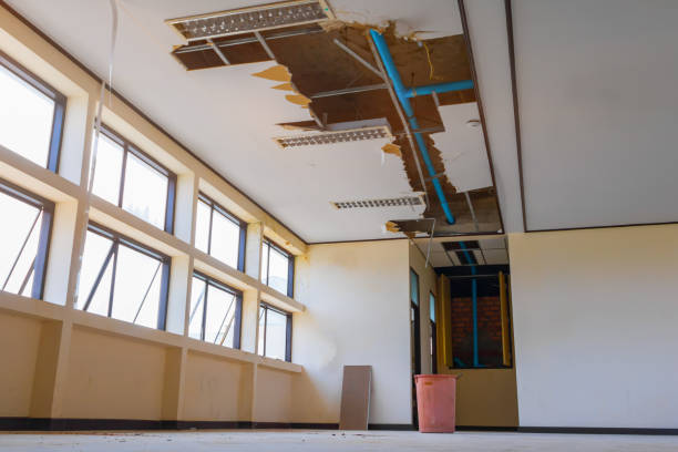 Best Flood damage cleanup  in Hiller, PA
