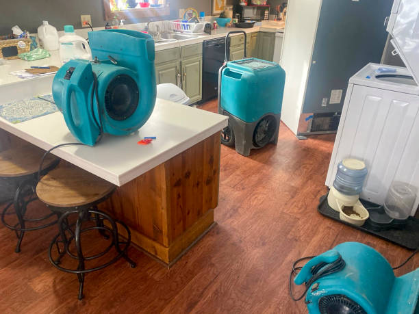 Best Water damage cleanup near me  in Hiller, PA