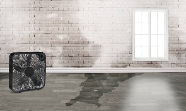 Best Carpet water damage restoration  in Hiller, PA