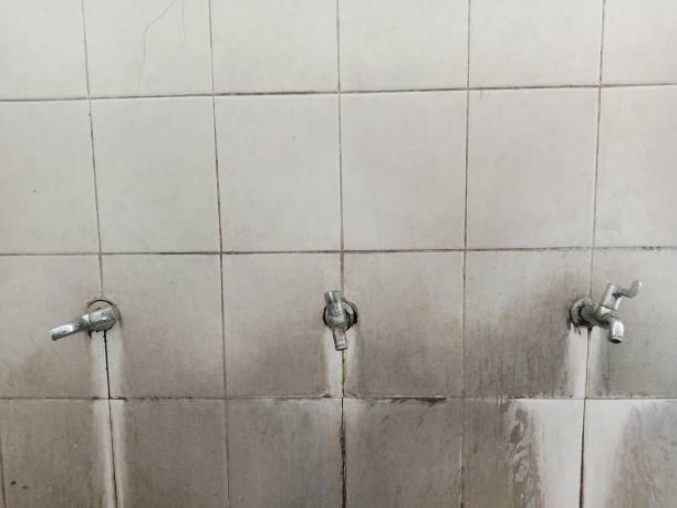 Best Professional water damage repair  in Hiller, PA