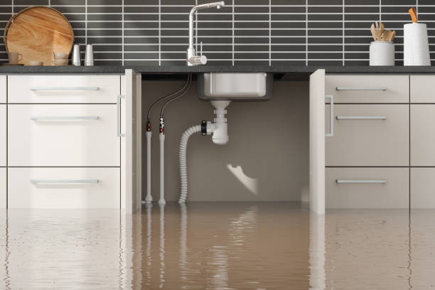 Best Water damage restoration specialists  in Hiller, PA