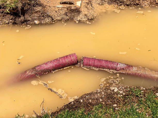 Best Water damage cleanup near me  in Hiller, PA